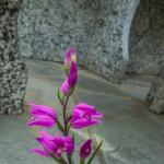heidazunft2021-dsc06122-019.jpg