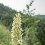 heidazunft2021-dsc06189-086.jpg